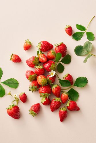 Gâteaux des Fêtes & Célébrations – Nouveau